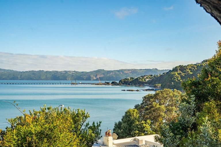 Photo of property in 236 Marine Drive, Lowry Bay, Lower Hutt, 5013