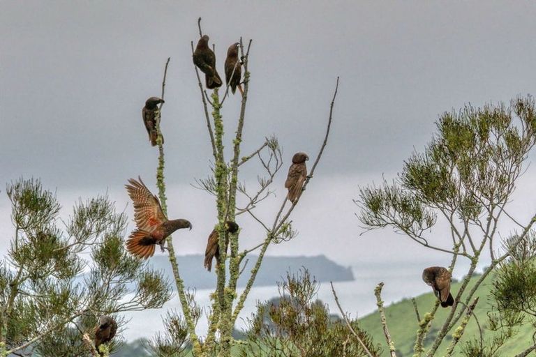 Photo of property in 42 Melville Drive, Whakatane, 3120