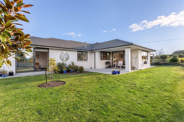 Photo of property in 2001 Te Matai Road, Ngawaro, Te Puke, 3188