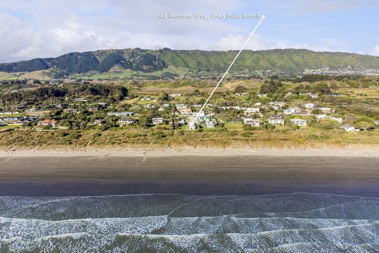 Photo of property in 41 Marram Way, Peka Peka, Waikanae, 5391