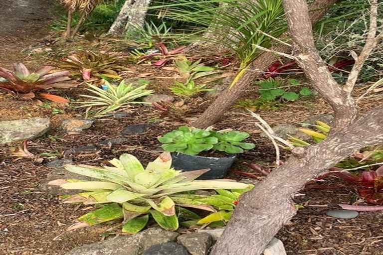 Photo of property in 1665 Matapouri Road, Matapouri, Whangarei, 0173