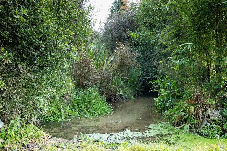 Photo of property in 35 Church Street, Woodbury, Geraldine, 7991