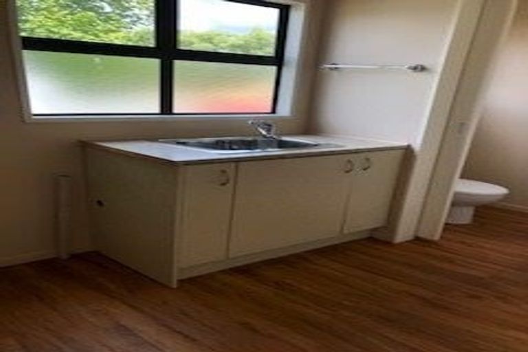 Photo of property in 284 Shewan Road, Gordonton, Hamilton, 3281