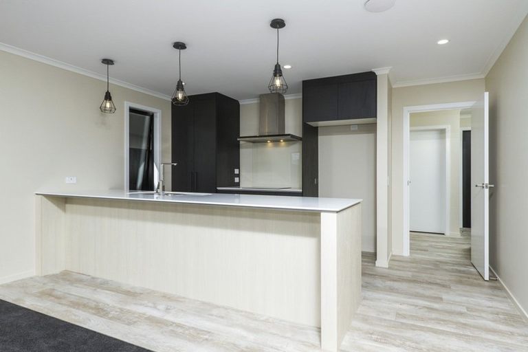 Photo of property in 52 Kahikatea Way, Appleby, Richmond, 7020