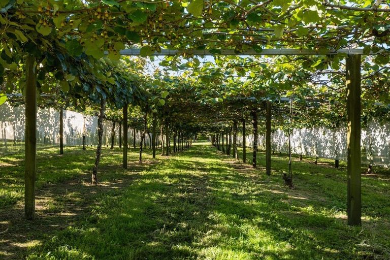 Photo of property in 585d Mclaren Falls Road, Omanawa, Tauranga, 3171