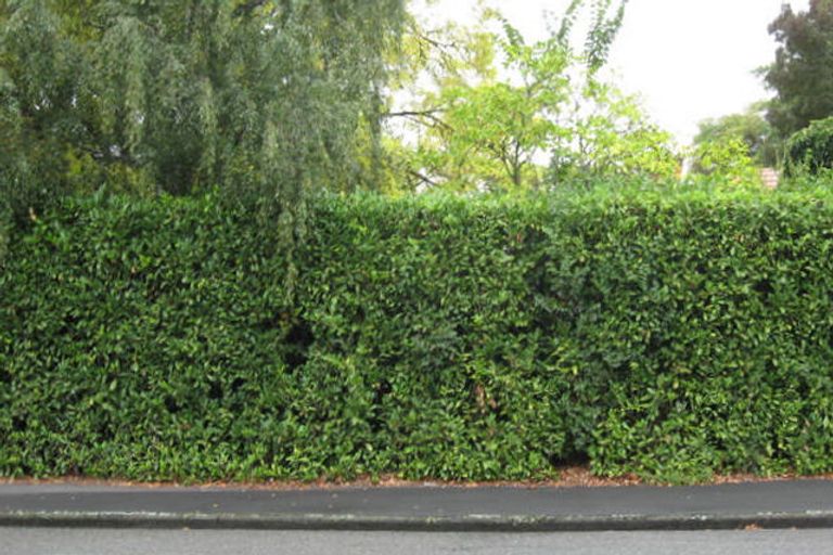 Photo of property in 70 Belt Road, Allenton, Ashburton, 7700