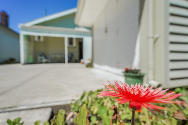 Photo of property in 61 Cook Street, Hamilton East, Hamilton, 3216