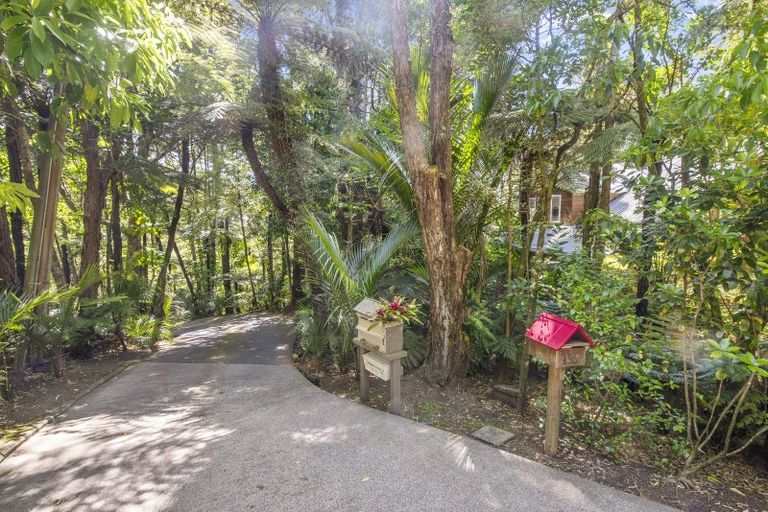 Photo of property in 133 Konini Road, Titirangi, Auckland, 0604