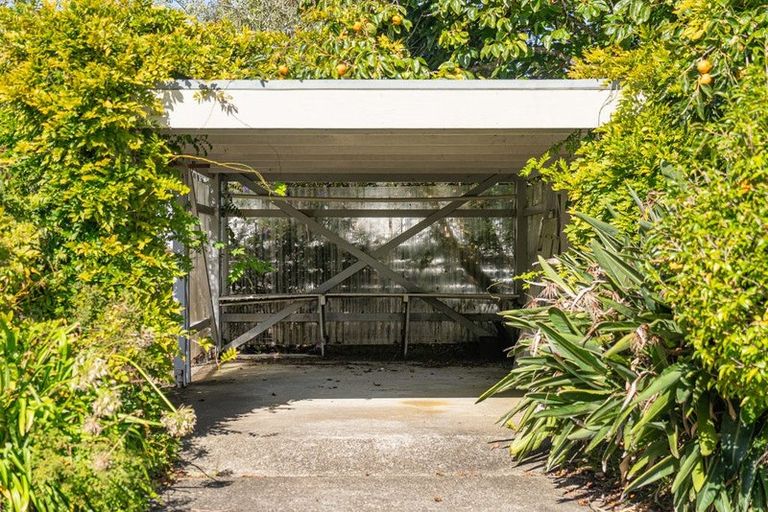 Photo of property in 33 Catherine Crescent, Whitianga, 3510