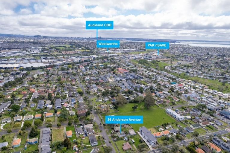 Photo of property in 36 Anderson Avenue, Point England, Auckland, 1072