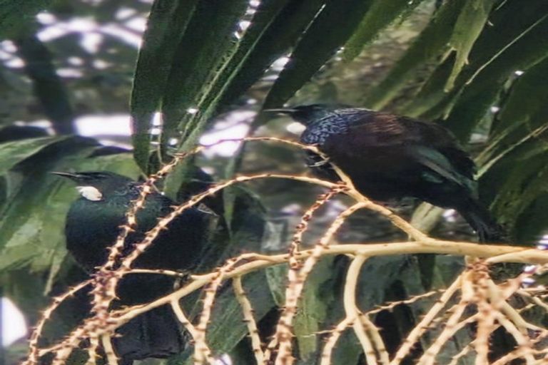 Photo of property in 67 Fifteenth Avenue, Tauranga South, Tauranga, 3112