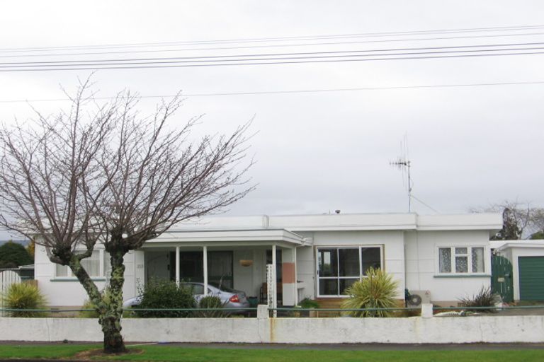 Photo of property in 37 Mabel Street, Levin, 5510