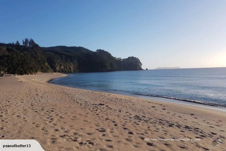 Photo of property in 212 Russell Bruce Place, Onemana, Whangamata, 3691