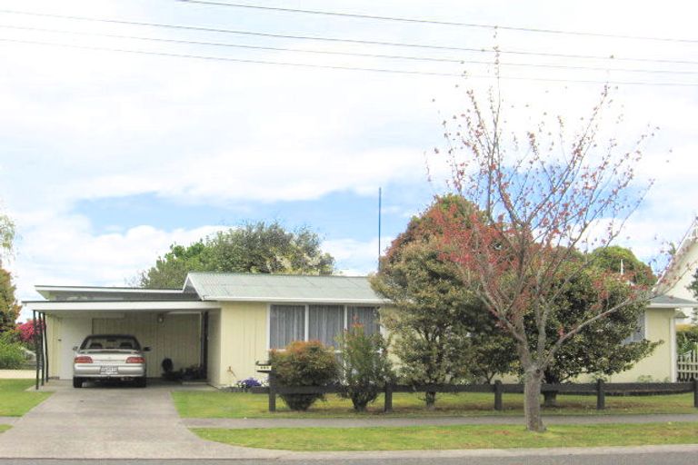 Photo of property in 195 Tamamutu Street, Taupo, 3330