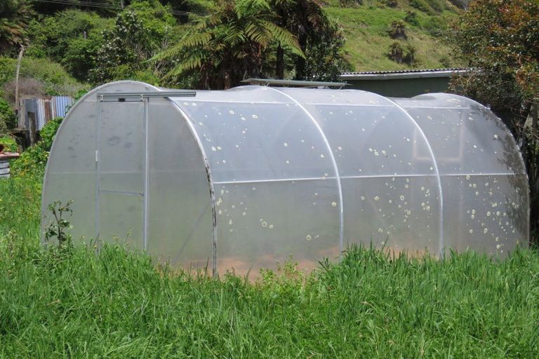 Photo of property in 169 Torea Street, Granity, 7823