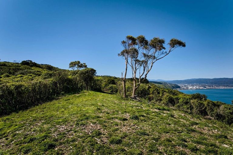 Photo of property in 50 Dungarvan Road, Newlands, Wellington, 6037