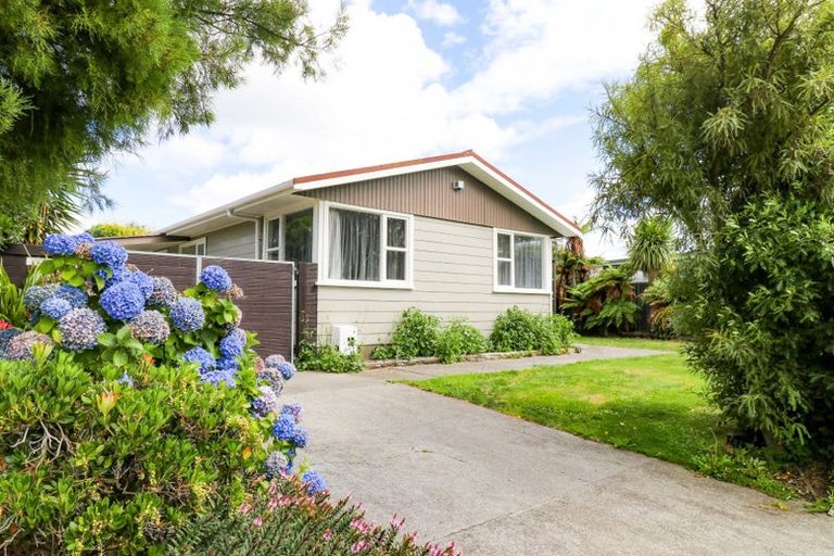 Photo of property in 143 Ruamahanga Crescent, Terrace End, Palmerston North, 4410