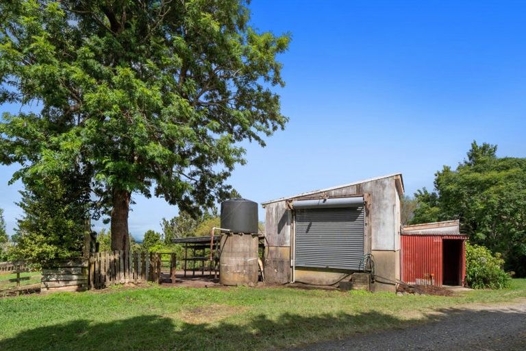 Photo of property in 40 Killen Road, Tahawai, Katikati, 3178