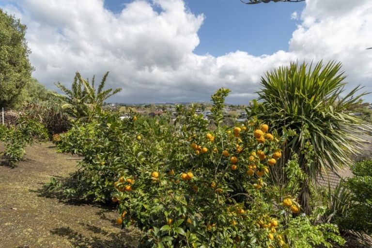 Photo of property in 148 Castlewold Drive, Bethlehem, Tauranga, 3110