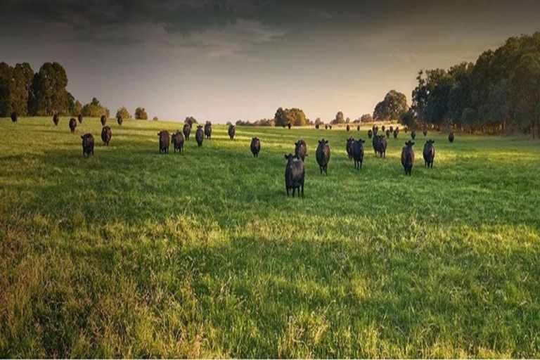 Photo of property in 2291 Maungatautari Road, Maungatautari, Cambridge, 3494