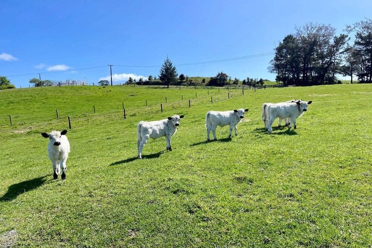 Photo of property in 1106 Puketotara Road, Okaihau, 0295