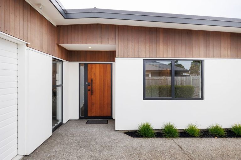 Photo of property in 99b Linton Street, West End, Palmerston North, 4410