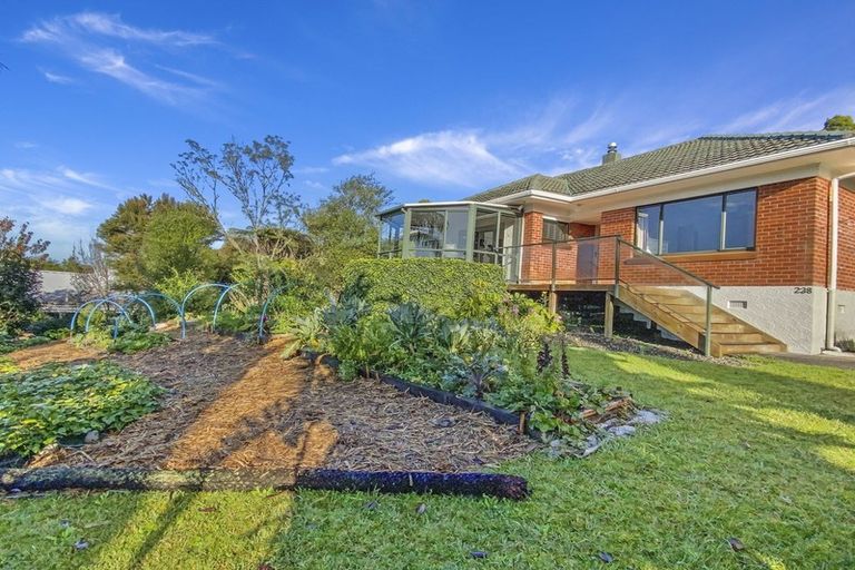 Photo of property in 238 Western Hills Drive, Avenues, Whangarei, 0110