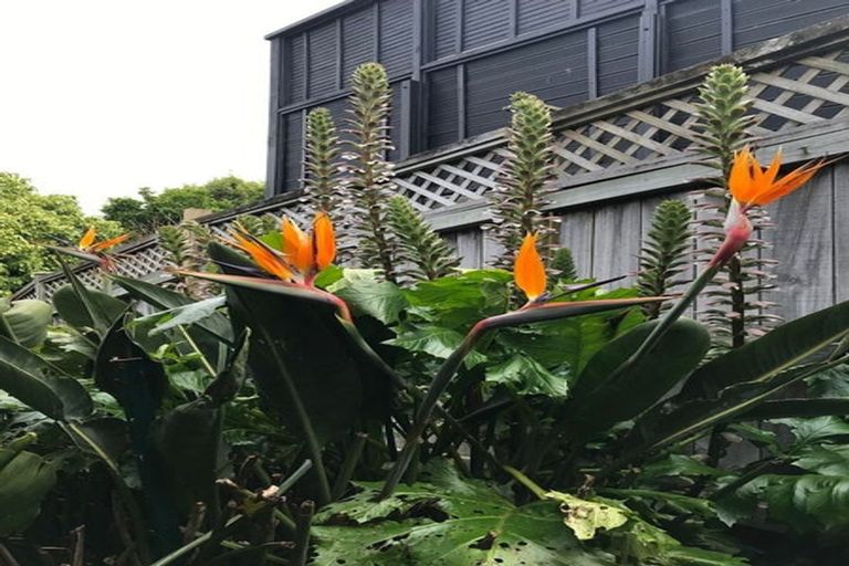 Photo of property in 11 View Road, Shelly Park, Auckland, 2014