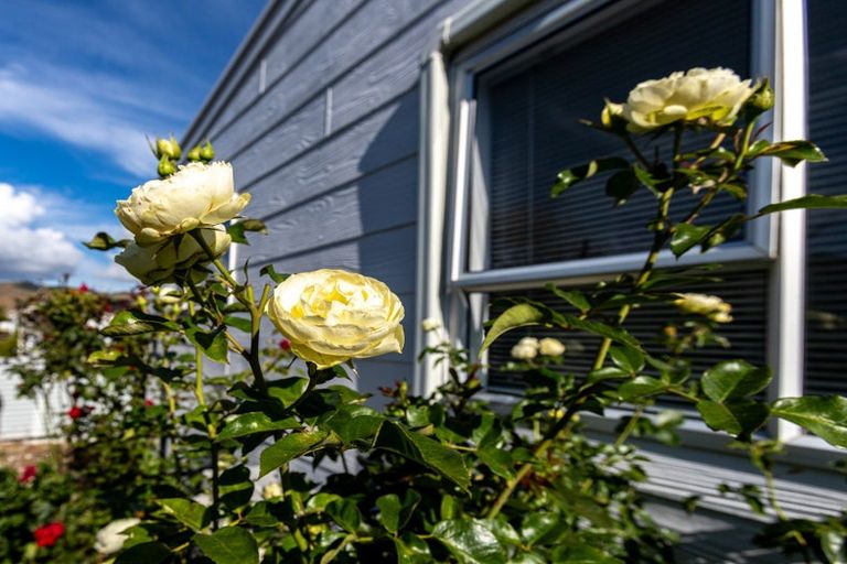 Photo of property in 15 Towers Street, Paeroa, 3600