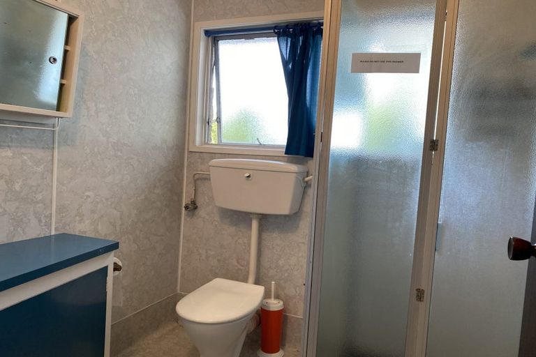 Photo of property in 101 Newcastle Road, Dinsdale, Hamilton, 3204