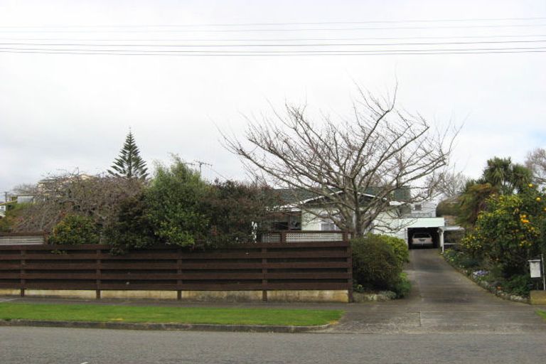 Photo of property in 6 Montgomery Street, Levin, 5510