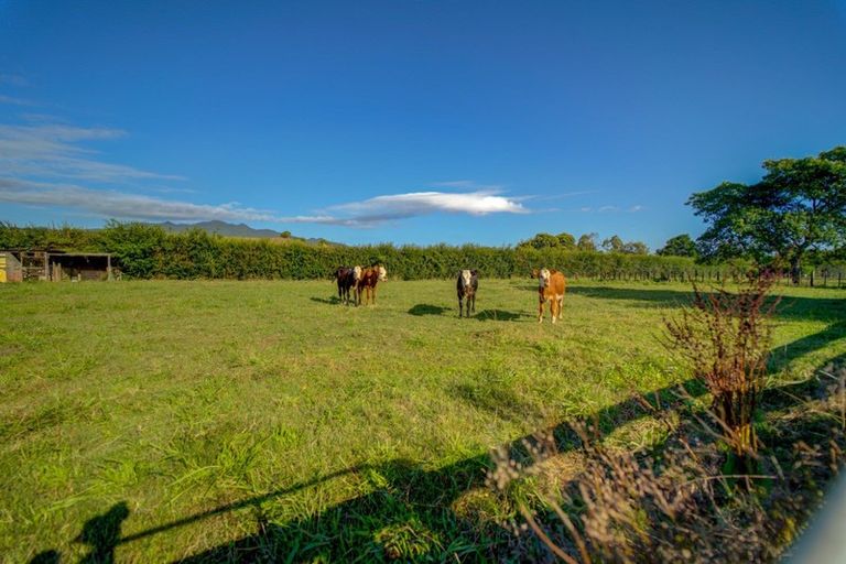 Photo of property in 1170 Franklin Street, Pirongia, 3802