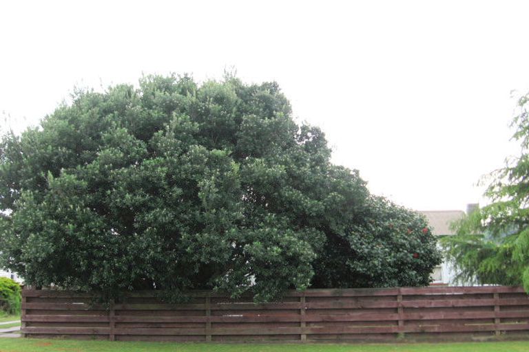 Photo of property in 237 Stout Street, Mangapapa, Gisborne, 4010