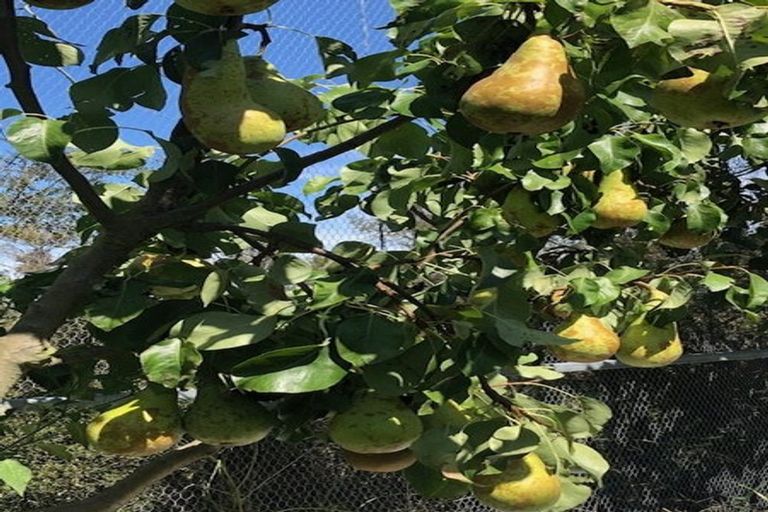 Photo of property in 132 Round Hill Road, Loburn, 7472