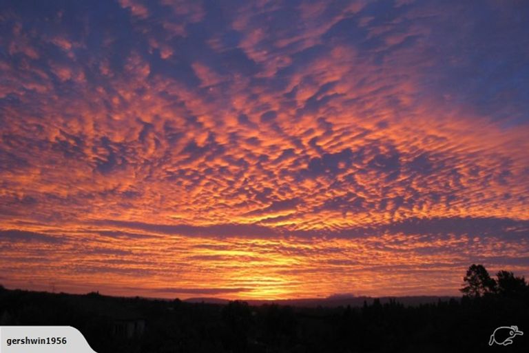 Photo of property in 197 Rowesdale Drive, Ohauiti, Tauranga, 3112