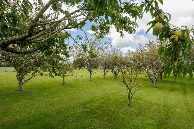 Photo of property in 450 Alexandra Road, Manawaru, Te Aroha, 3391