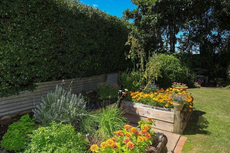 Photo of property in 181 Park Road, Horotiu, Hamilton, 3288