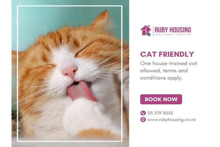 Photo of property in 8/23 Frederick Street, Waltham, Christchurch, 8011