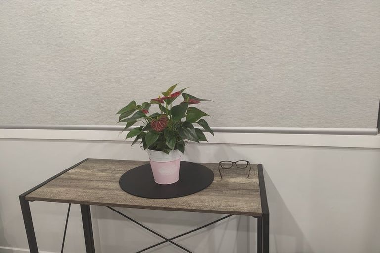 Photo of property in 4 Turkington Street, Tawa, Wellington, 5028