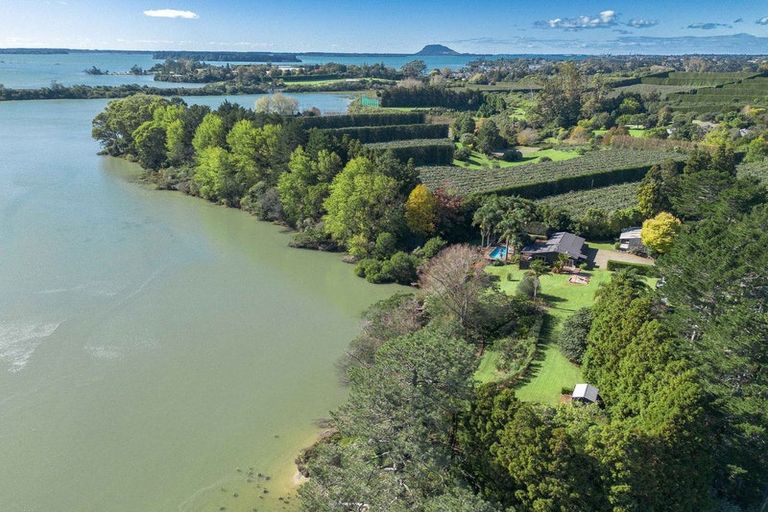 Photo of property in 47 Bruntwood Drive, Whakamarama, Tauranga, 3172