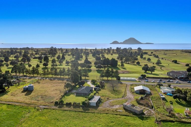 Photo of property in 21 Aerodrome Road, Thornton, Whakatane, 3191