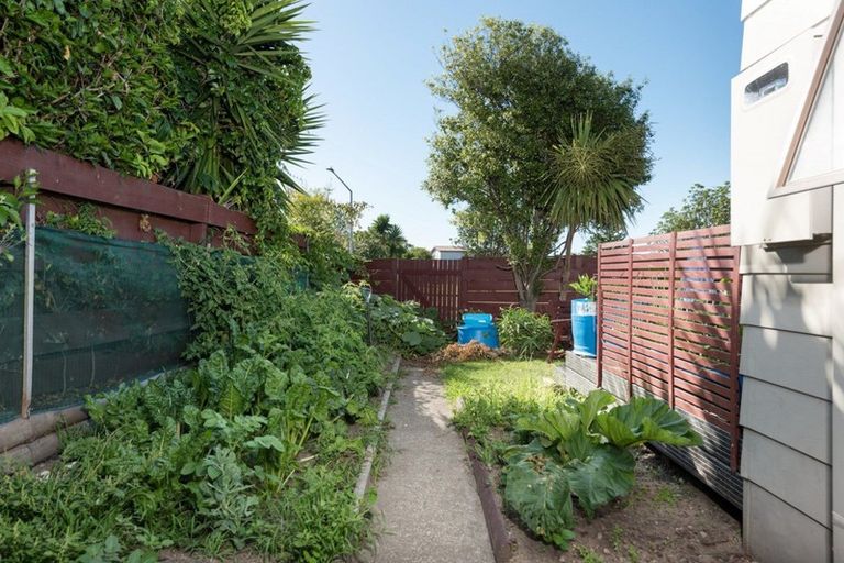 Photo of property in 26a Matavai Street, Mount Maunganui, 3116