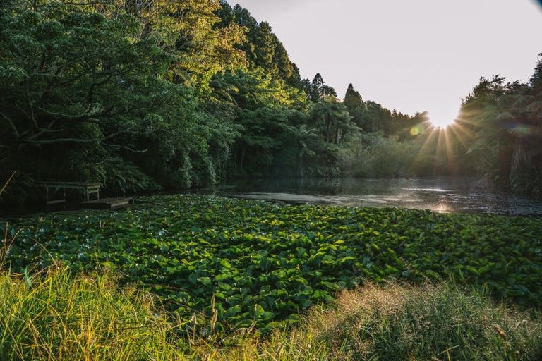 Photo of property in 70a Neewood Road, Ohauiti, Tauranga, 3173