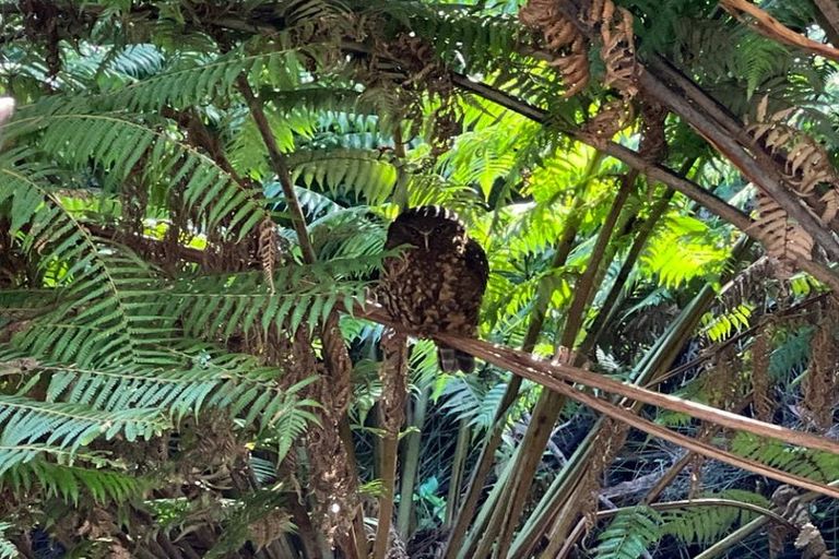 Photo of property in 25 Te Ahu Place, Karikari Peninsula, 0483