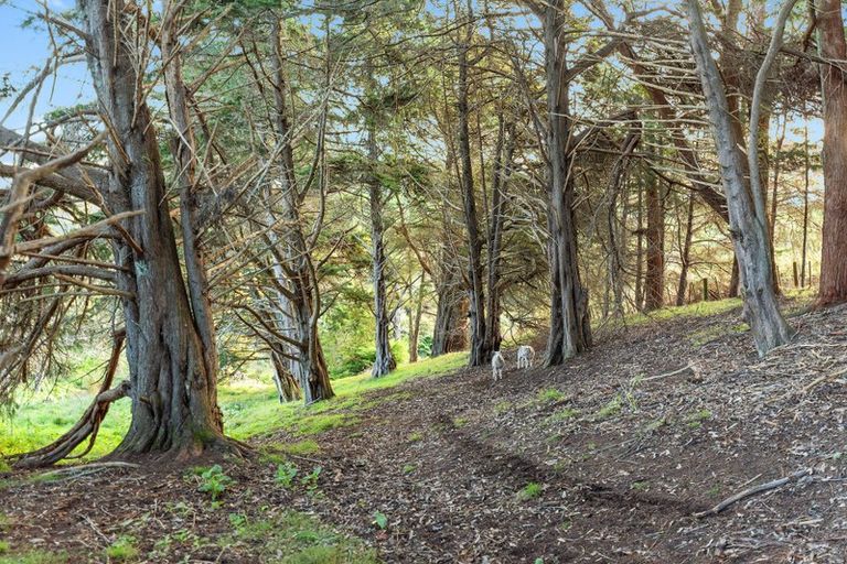 Photo of property in 33 Foley Quarry Road, Dairy Flat, Albany, 0792