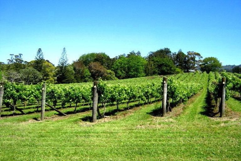 Photo of property in 38 Monarch-downs Way, Warkworth, 0982