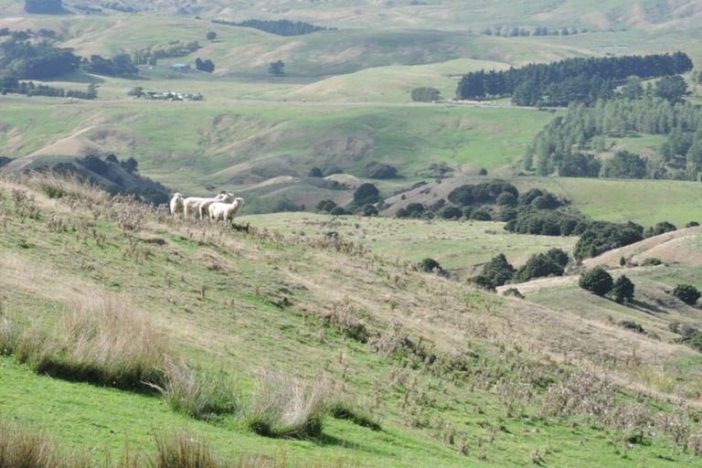 Photo of property in 1375 Wimbledon Road, Porangahau, 4292