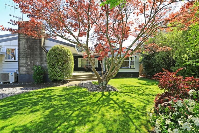 Photo of property in 704 Park Road North, Parkvale, Hastings, 4122