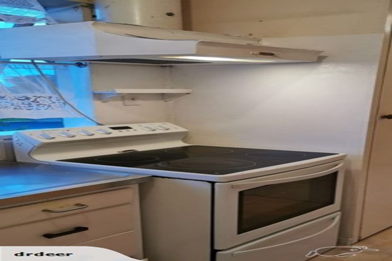 Photo of property in 67 Astley Avenue, New Lynn, Auckland, 0600