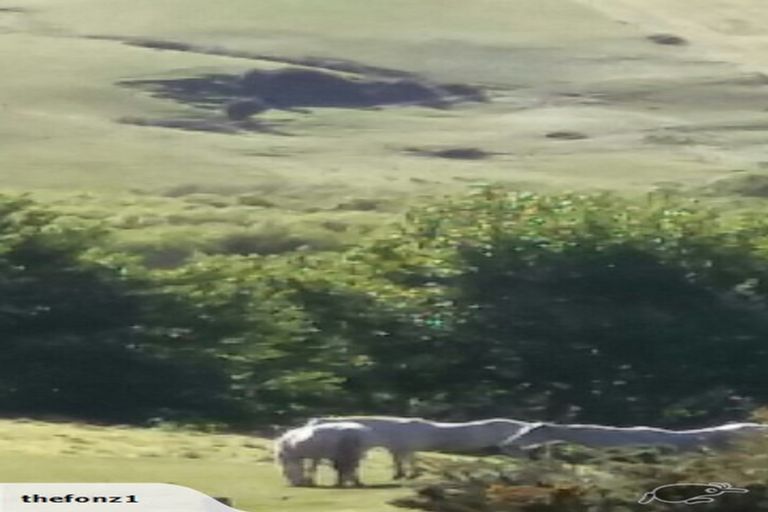 Photo of property in 44 Slater Road, Ruawaro, Huntly, 3772